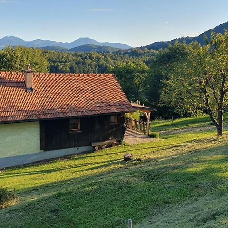 Villa Hiska Ob Gozdu Polzela Exterior foto