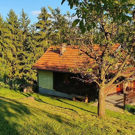 Villa Hiska Ob Gozdu Polzela Exterior foto