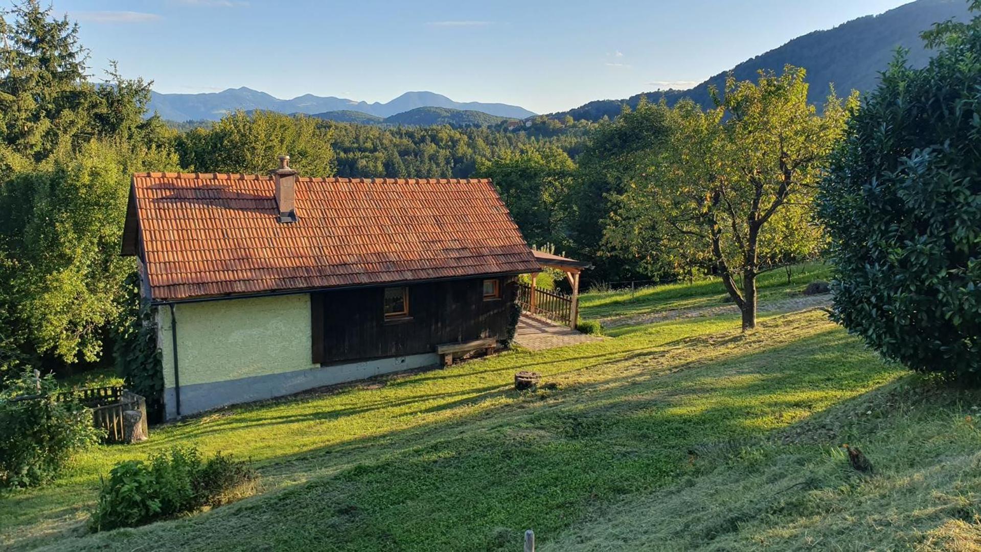 Villa Hiska Ob Gozdu Polzela Exterior foto