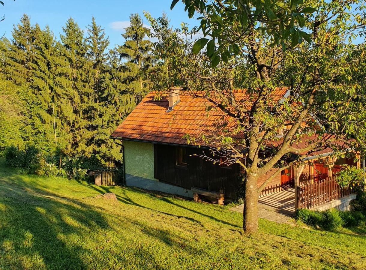 Villa Hiska Ob Gozdu Polzela Exterior foto
