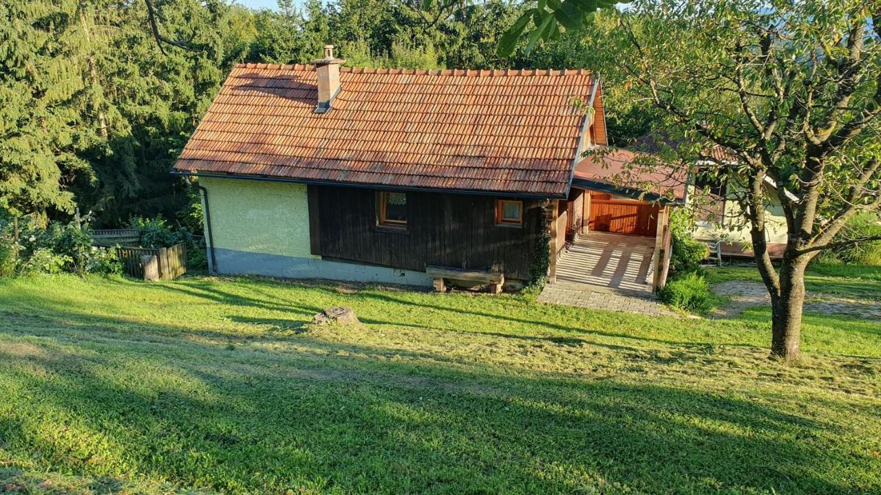 Villa Hiska Ob Gozdu Polzela Exterior foto